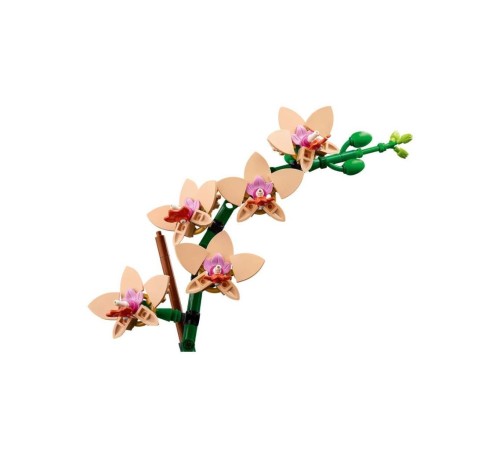 10343 Lego iconic Botanicals Mini Orkide 274 parça +18 yaş 10343 Lego iconic Botanicals Mini Orkide 274 parça +18 yaş