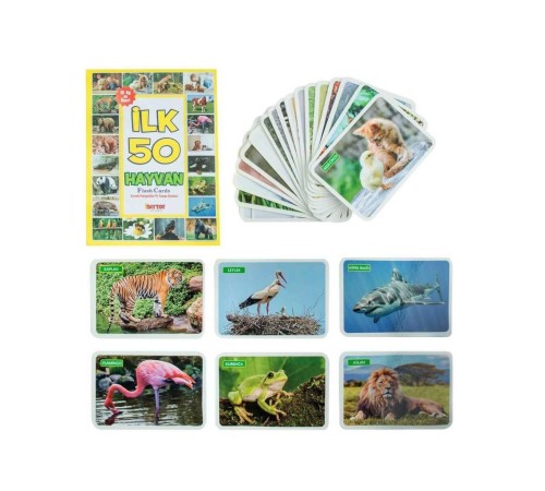 1352FlashCardsİlk50Hayvan-Dıytoy 1352FlashCardsİlk50Hayvan-Dıytoy