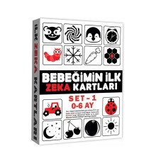 2199 Eğitici Kartlar 0-6 Ay Zeka Kartları