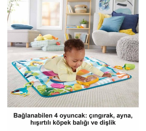 Fisher Price Havuz Keyfi Oyun Minderi GRR44 Fisher Price Havuz Keyfi Oyun Minderi GRR44