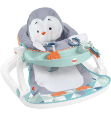 Fisher Price Tepsili Ana Kucağı HBF27