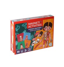 LC986ManyetikAktiviteİnsanAnatomisi-Laço