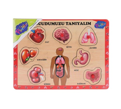 ONY-287 288 Ahşap Tutmalı Vücumuzu Tanıyalım -Onyıl Oyuncak ONY-287 288 Ahşap Tutmalı Vücumuzu Tanıyalım -Onyıl Oyuncak