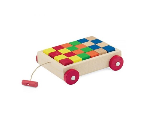 PlayWood Ahşap Renkli Küp Bloklu Araba 312