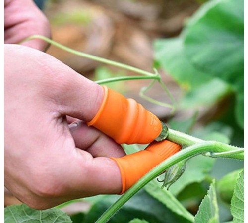 Pratik Baş Parmak Sebze Kesme Ayıklayıcı Bayan M Set