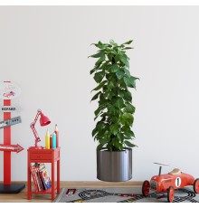 Saksılı Bitki Tasarımlı Yapışkanlı Sticker Resim 90*30 cm MC-665