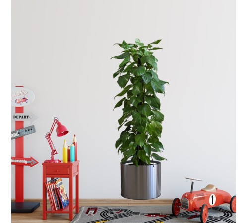 Saksılı Bitki Tasarımlı Yapışkanlı Sticker Resim 90*30 cm MC-665