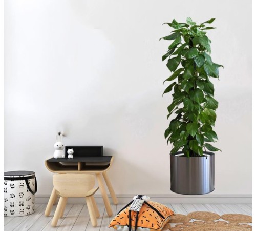 Saksılı Bitki Tasarımlı Yapışkanlı Sticker Resim 90*30 cm MC-665