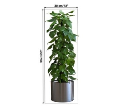 Saksılı Bitki Tasarımlı Yapışkanlı Sticker Resim 90*30 cm MC-665
