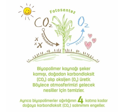 Sleepy Bio Natural Islak Havlu Mendil 3x40 120 Yaprak Sleepy Bio Natural Islak Havlu Mendil 3x40 120 Yaprak