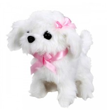 Sunman Sevimli Köpek Maltese