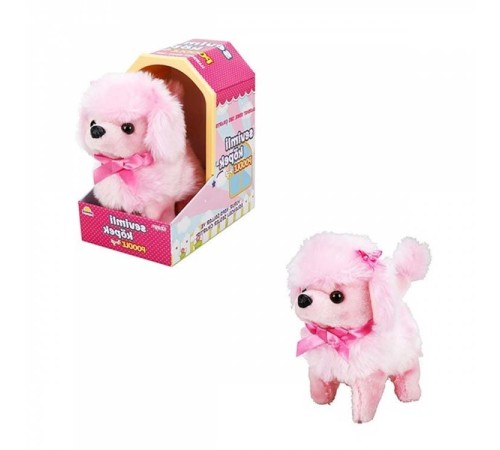 Sunman Sevimli Köpek Poodle Sunman Sevimli Köpek Poodle