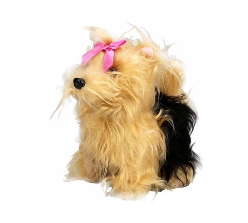 Sunman Sevimli Köpek Terrier Sunman Sevimli Köpek Terrier