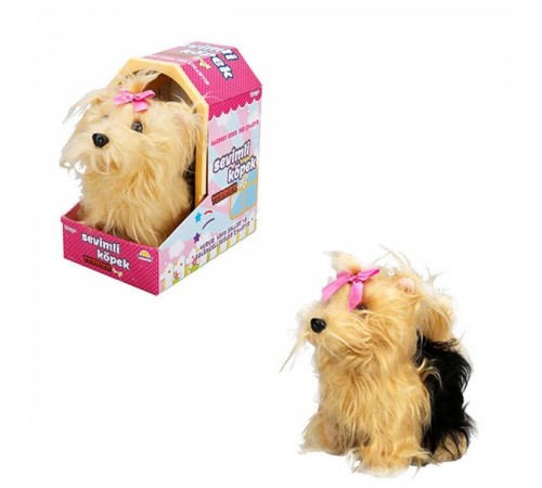 Sunman Sevimli Köpek Terrier Sunman Sevimli Köpek Terrier