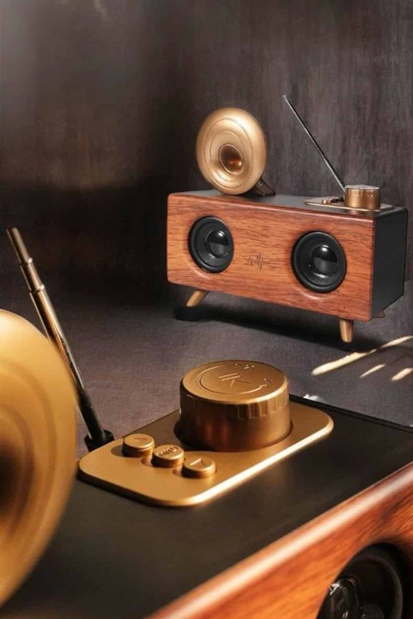 Bluetooth Connected Speaker with Nostalgic View