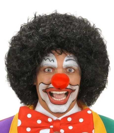 Black Color Curly Afro Bonus Wigs Hair And Red Sponge Nose Set