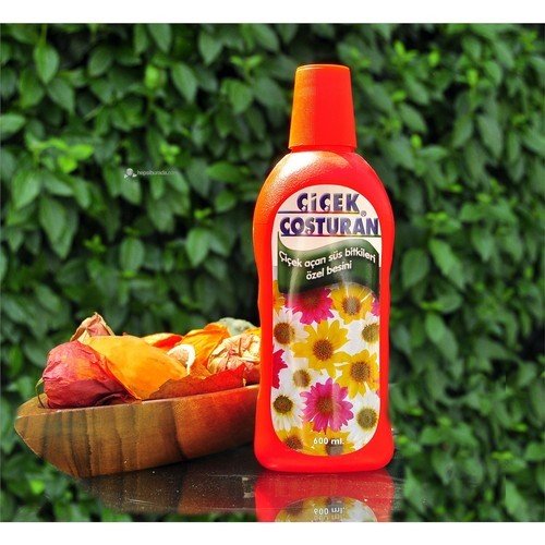 Toptan Bulurum Çiçek Coşturan Çiçek Açan Süs Bitkileri İçin