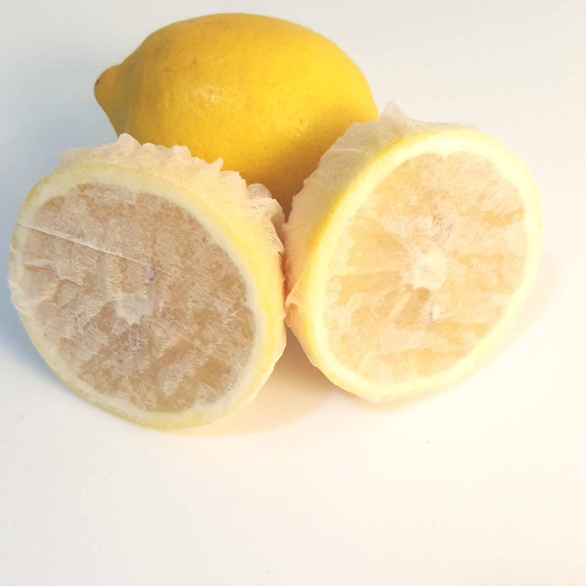 Lemon Bone / 250 Pcs / Plant Tea Bone