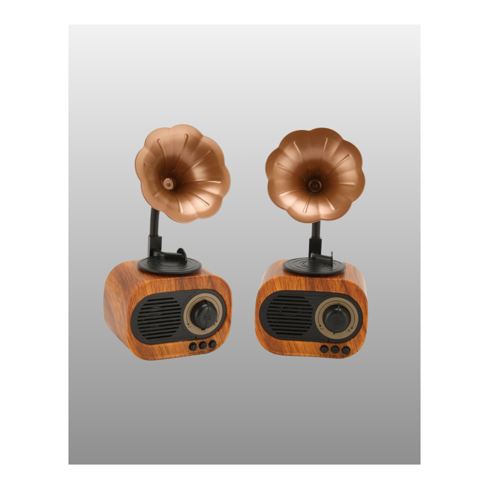 Kablosuz Retro Radyo Hoparlör 5W Güçlü Ses USB Hafıza Kart Destekli Yeni Nesil