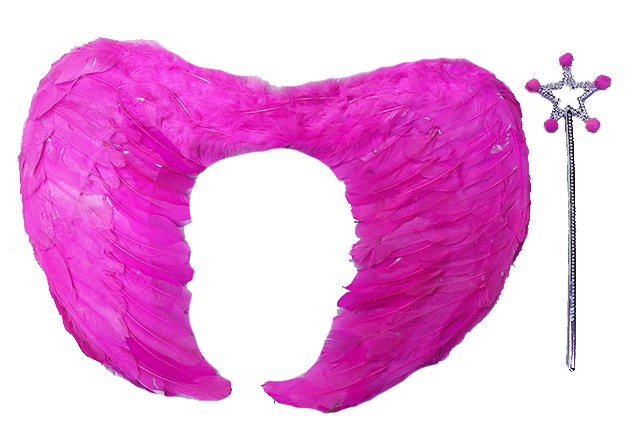 Real Feather Foldable Kids Pink Angel Collar And Asa Set 40x55 cm
